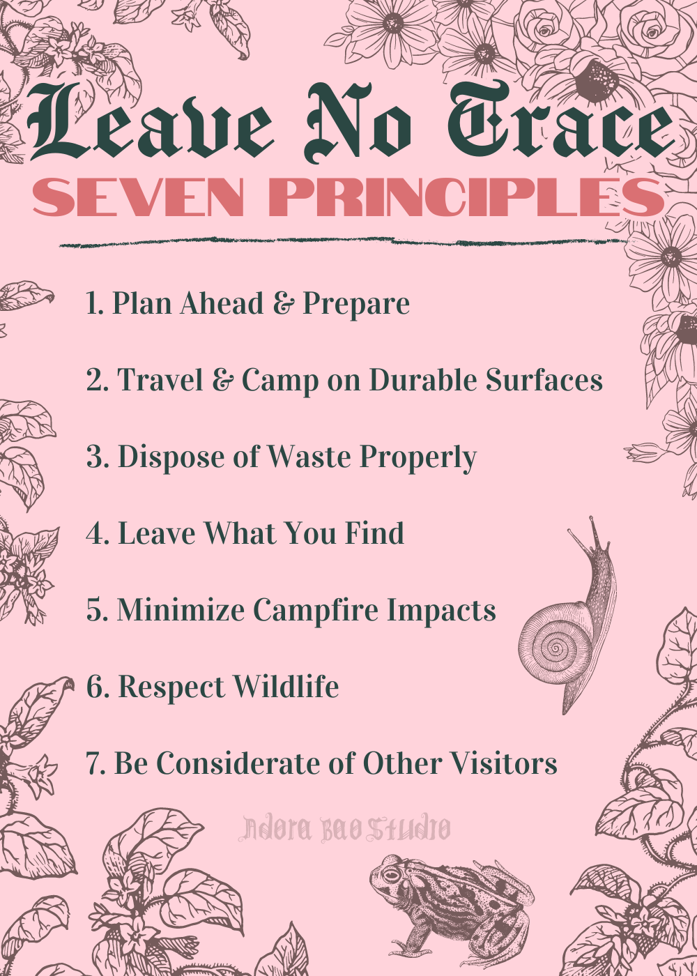 FREEBIE DIGITAL DOWNLOAD - Leave No Trace 7 Principals