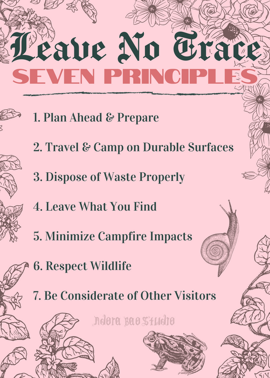 FREEBIE DIGITAL DOWNLOAD - Leave No Trace 7 Principals