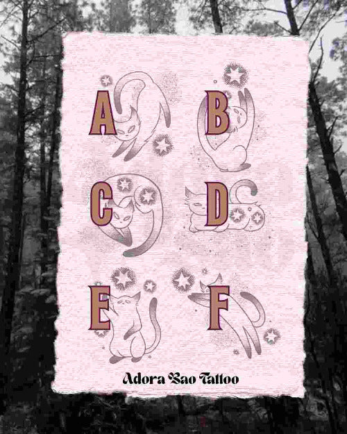 Star-born Cats Flash Sheet